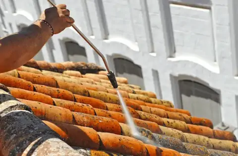 Nettoyage de toitures - Mesnil-en-Ouche